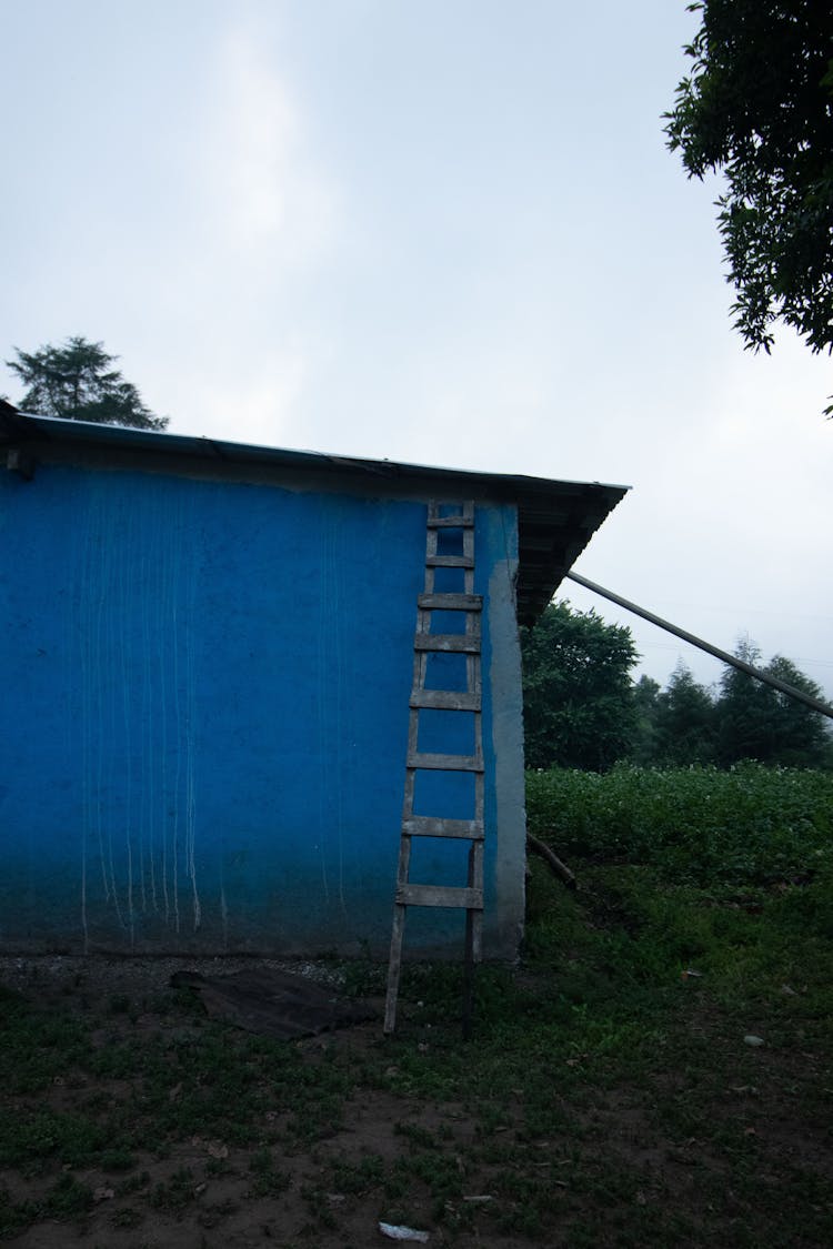 Wooden Ladder Leaning On The Blue House