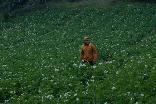 Man in Brown Jacket Walking in a Field with White Flowers