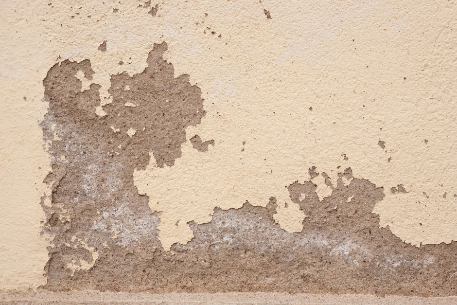 Mold Remediation & Removal service in Chicago, Illinois — mold remediation technician at work