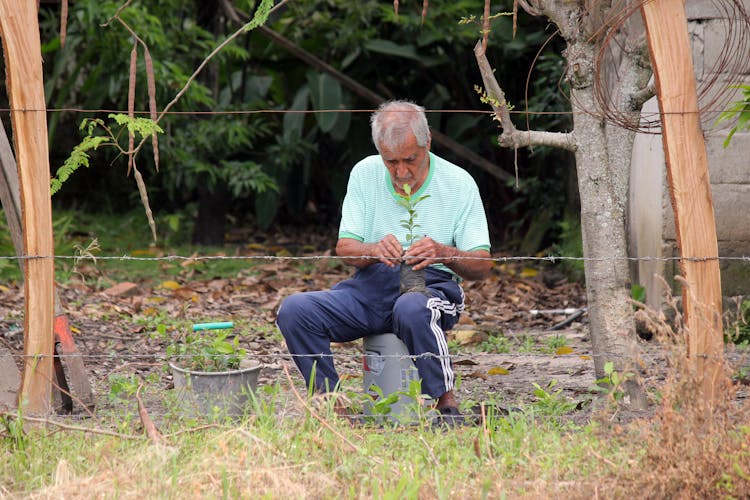 Elderly Man Holding A Plant