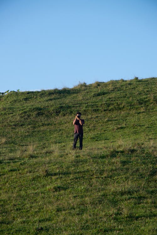 Kostenloses Stock Foto zu feld, gras, person