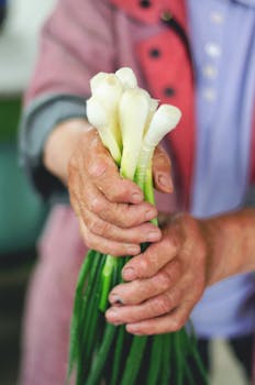 Image by Tamara Elnova