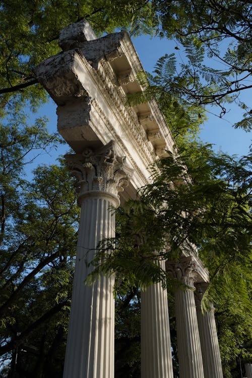 Foto d'estoc gratuïta de antic, arbres, arquitectura