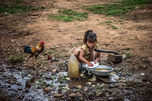 Girl Washing Dish Near Water Flowing Pipe Beside Brown Rooster