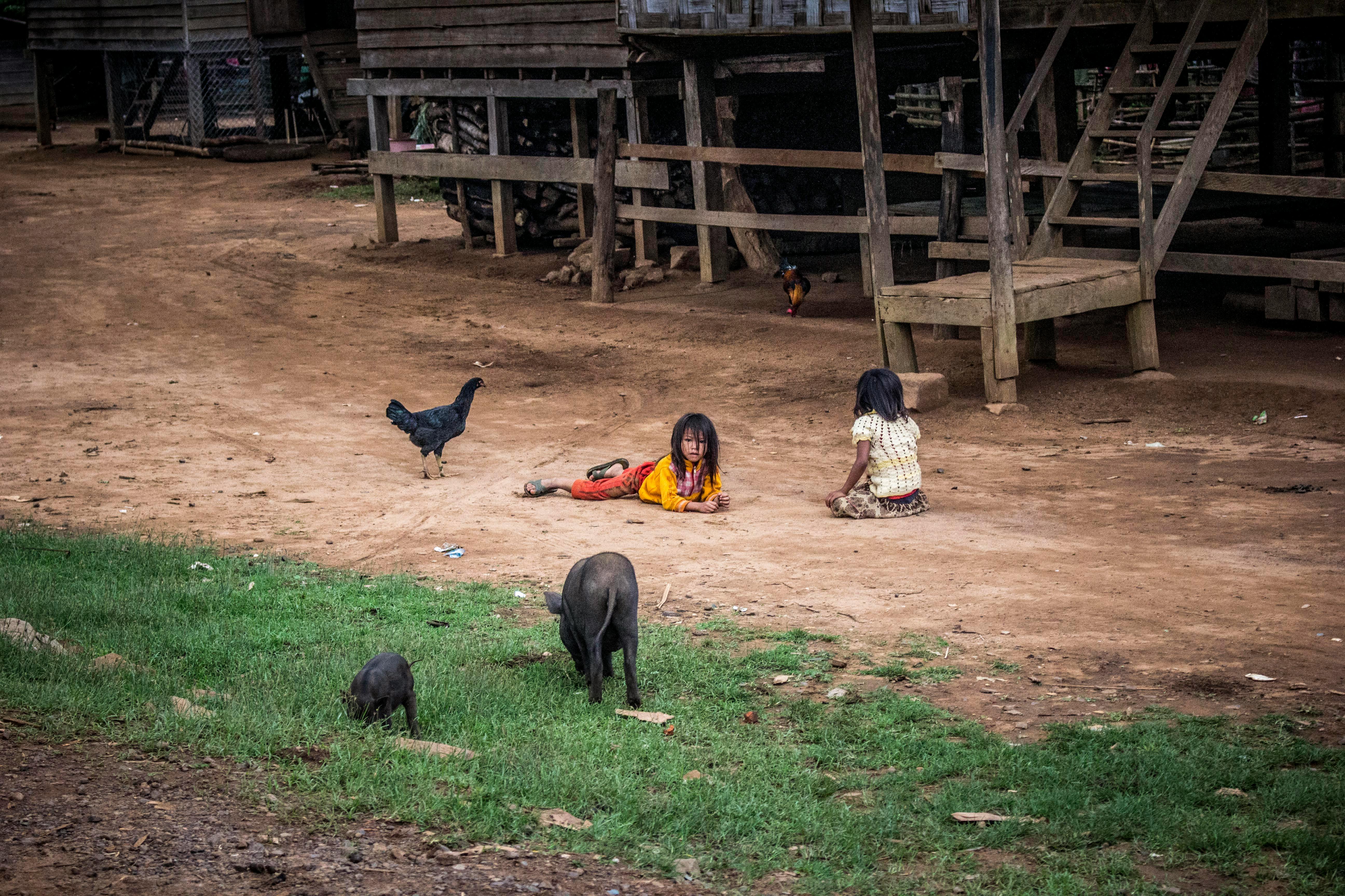 two girls playing with three animals