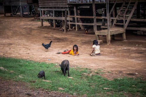 Duas Meninas Brincando Com Três Animais