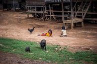 Two Girls Playing With Three Animals