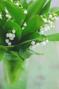 Image by Tamara Elnova