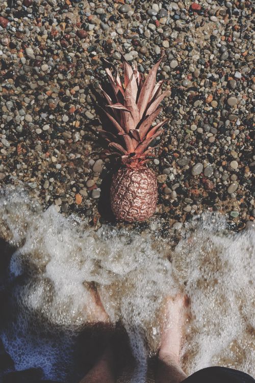 Free Top view of a rose gold-painted pineapple on pebble beach with feet in the water. Stock Photo