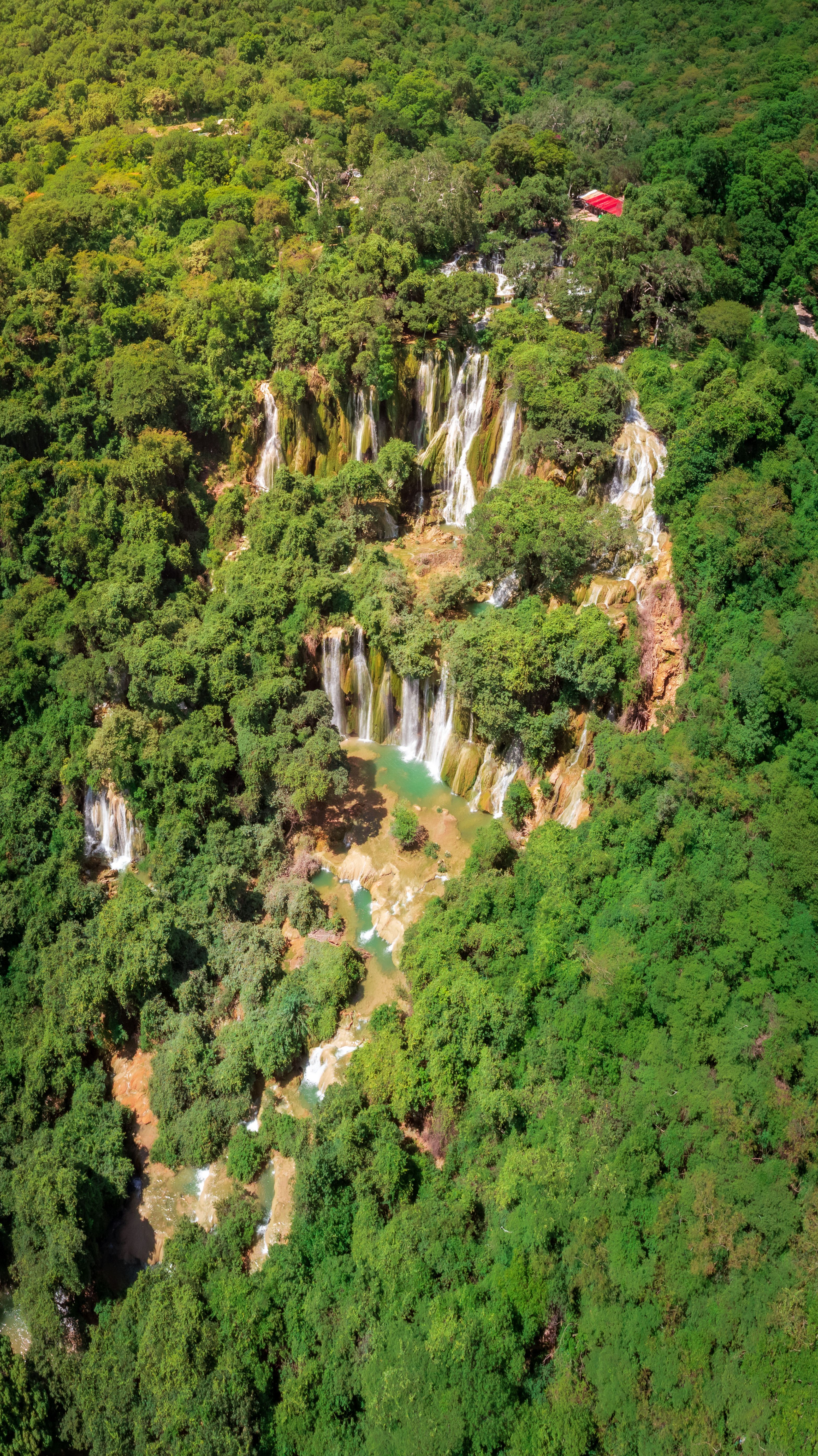 Fotomural Una impresionante vista aérea de frondosos bosques y cascadas en Gro., México.