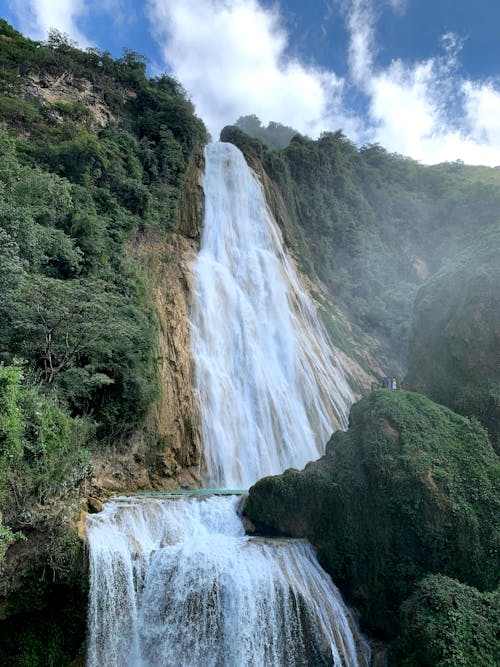 Waterfalls in the Forest under Blue Sky