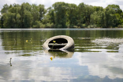 Darmowe zdjęcie z galerii z jezioro, latający, opona