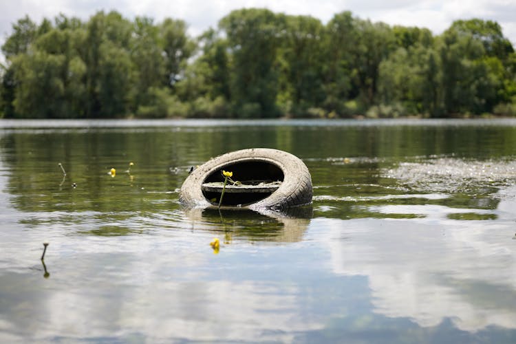 Tire Floating On Lake Water