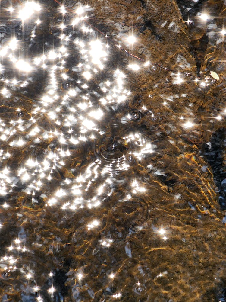 Light Reflection In The Water