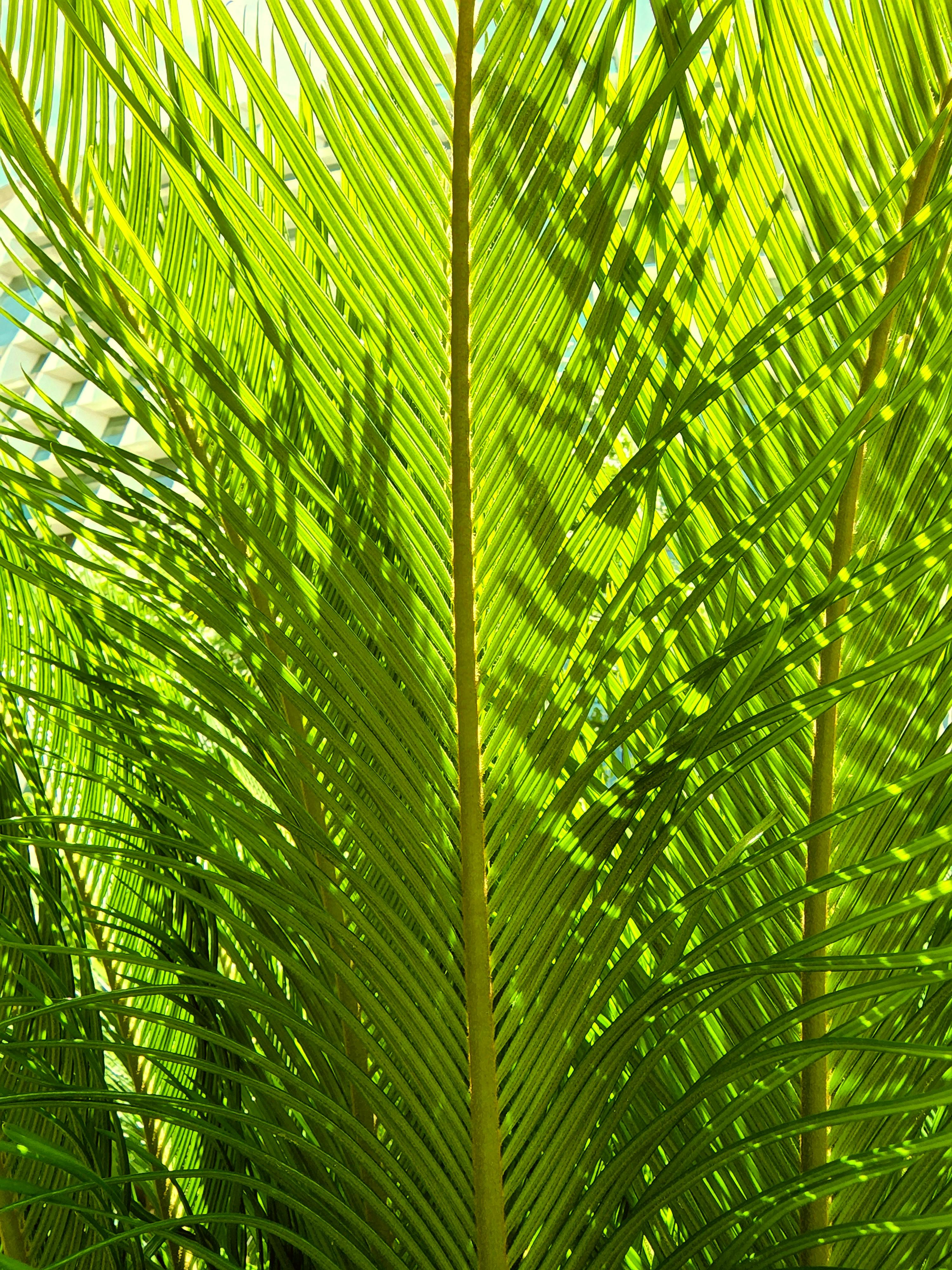 Whats a green tip bullet?