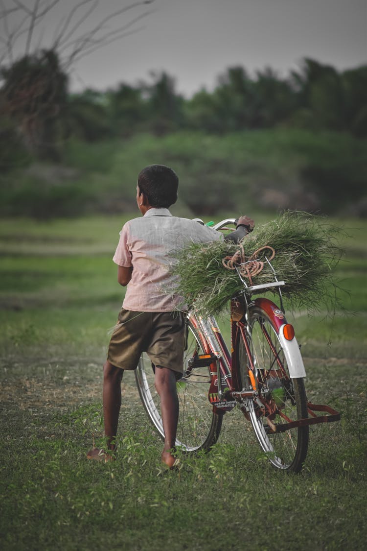 Kid Pushing A Bike On Grass Field