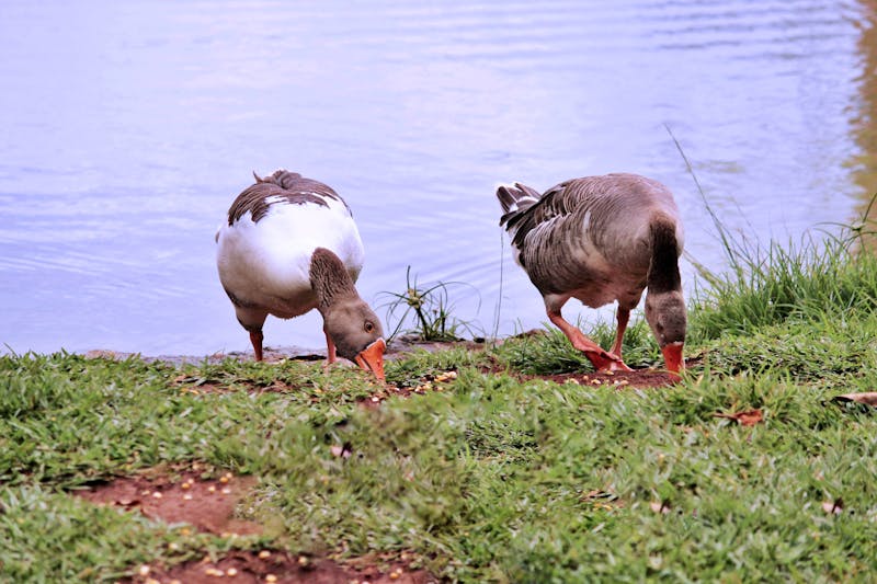Fethiye Yamaç Paraşütü