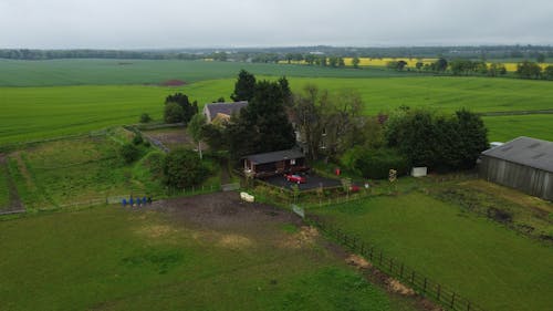Foto profissional grátis de arranhando, campina, casa de fazenda