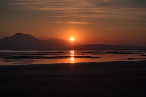 Seashore During Sunset