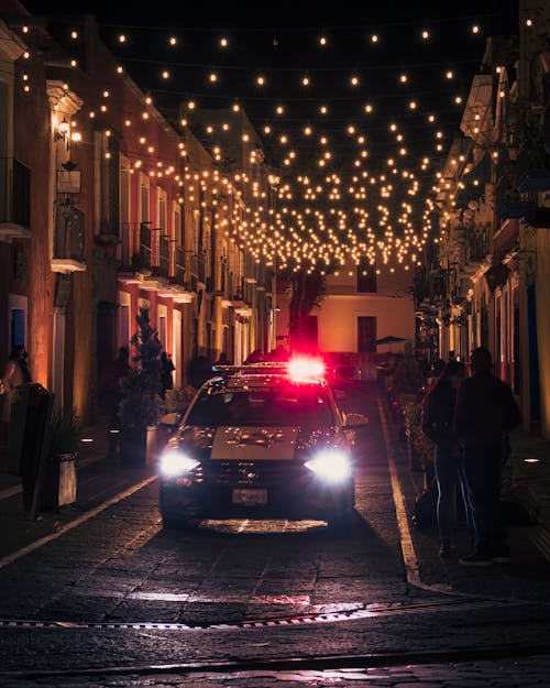 Foto profissional grátis de à noite, alameda, carro da polícia