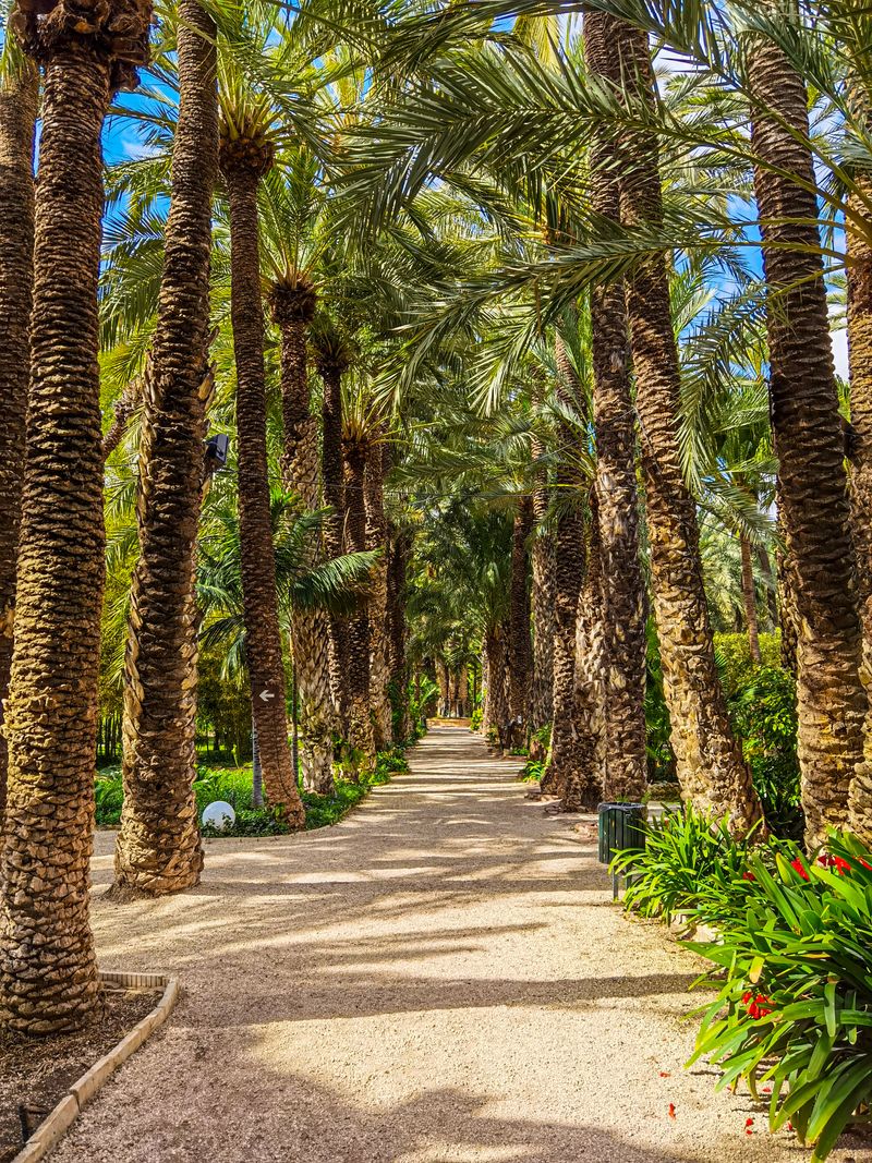 Parque de lAiguera