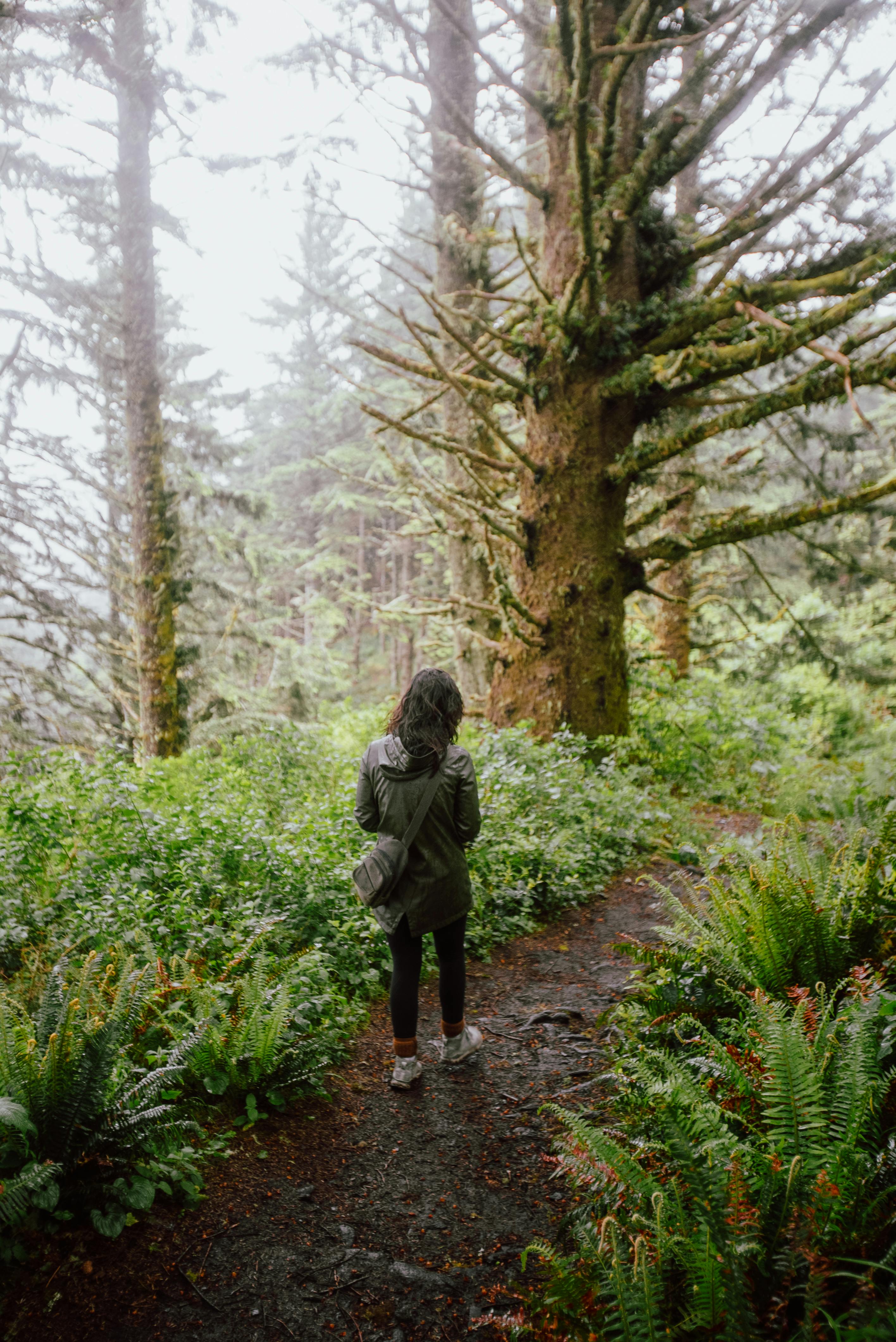 Explore the lush greenery of an Oregon forest as a young woman hikes through a serene trail.