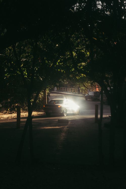 Free A car drives through a dimly lit forested park, creating a moody night scene. Stock Photo