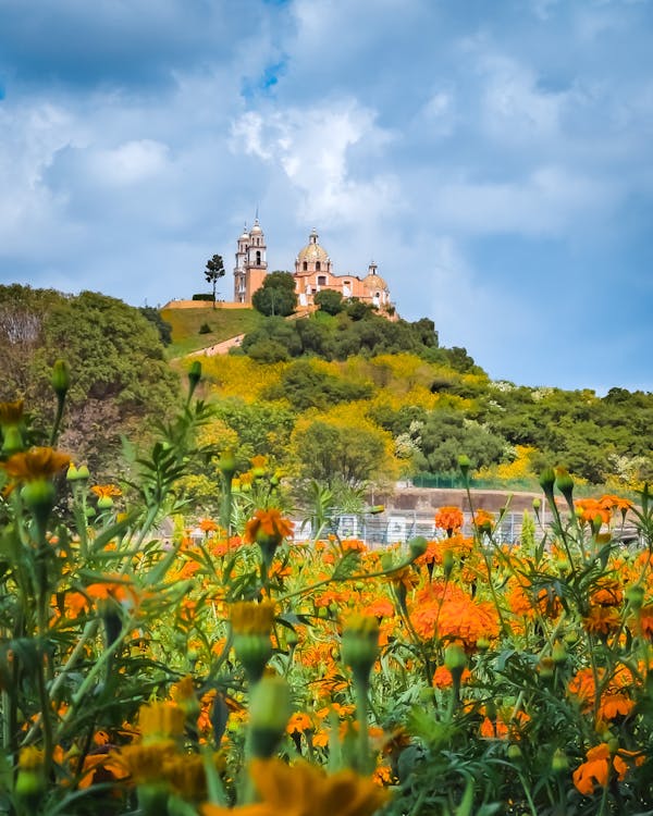Brown Building on Top of the Hill