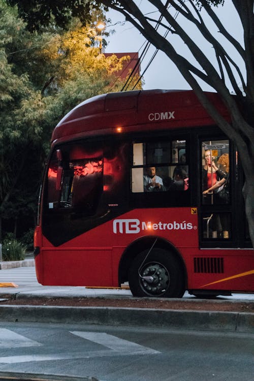 Red Bus on the Road