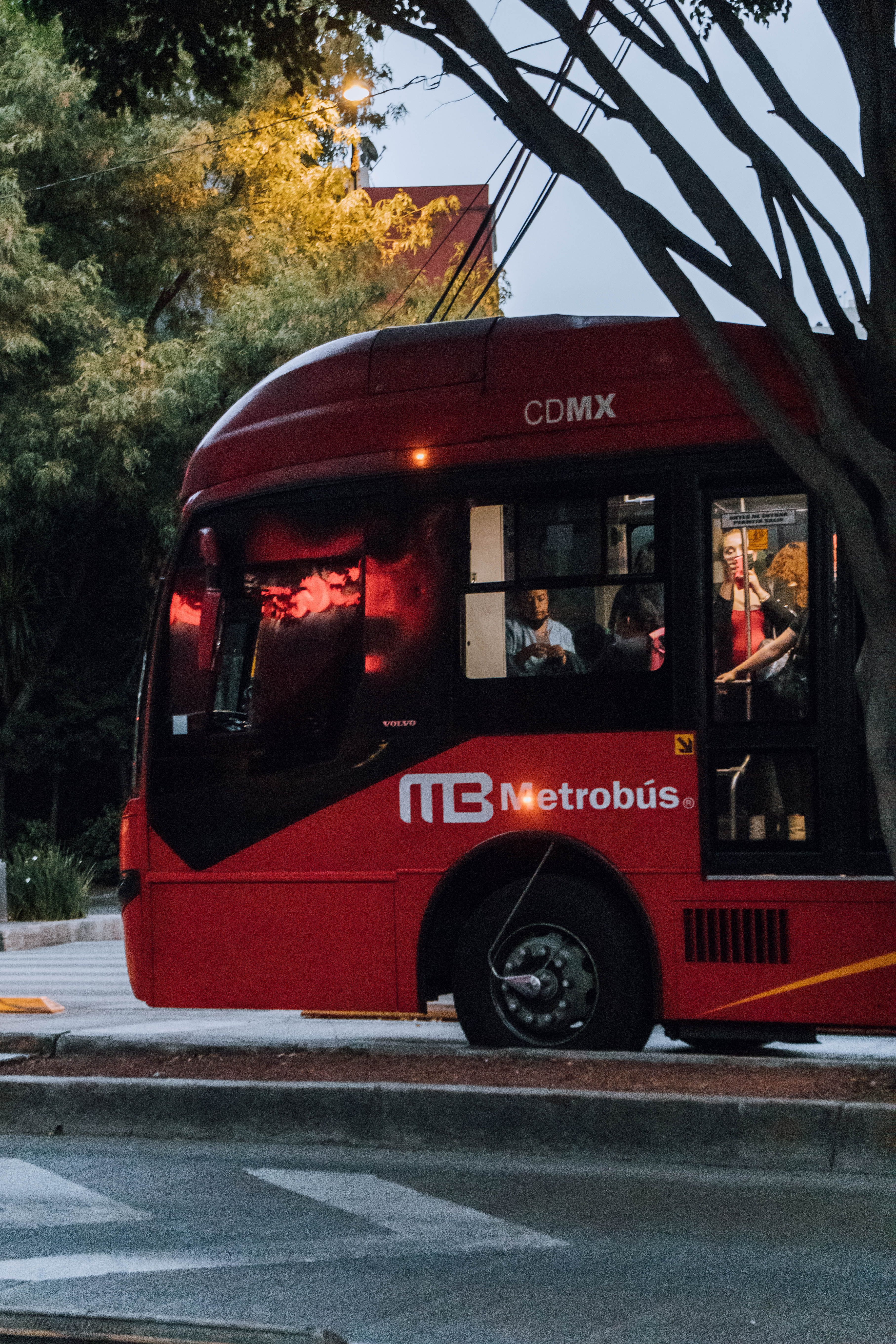 Red Metrobús travelling along a tree-lined avenue in Mexico City at dusk