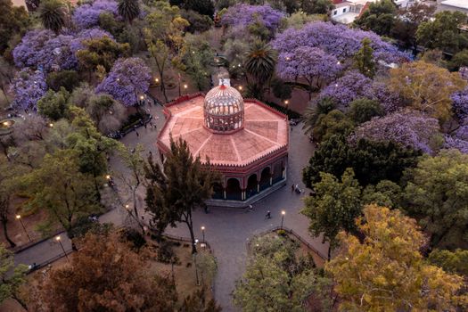 A stunning aerial shot of a historical kiosk surrounded by vibrant jacaranda trees in a scenic park.