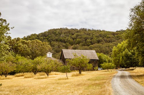 Brown Wooden Barn Near Green Trees Under White Clouds