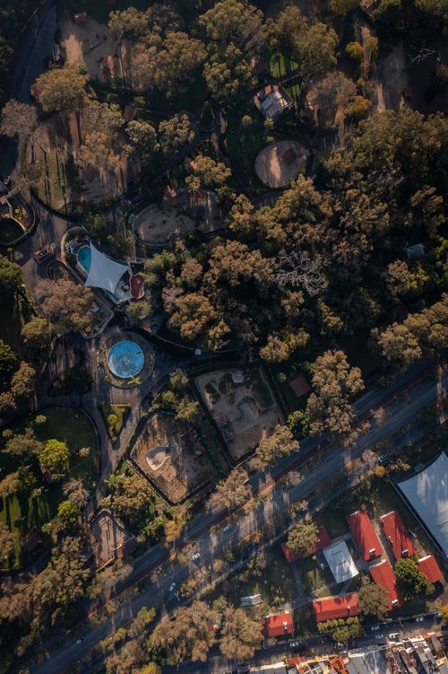 Free Stunning aerial view of an urban park with lush greenery and nearby buildings. Stock Photo