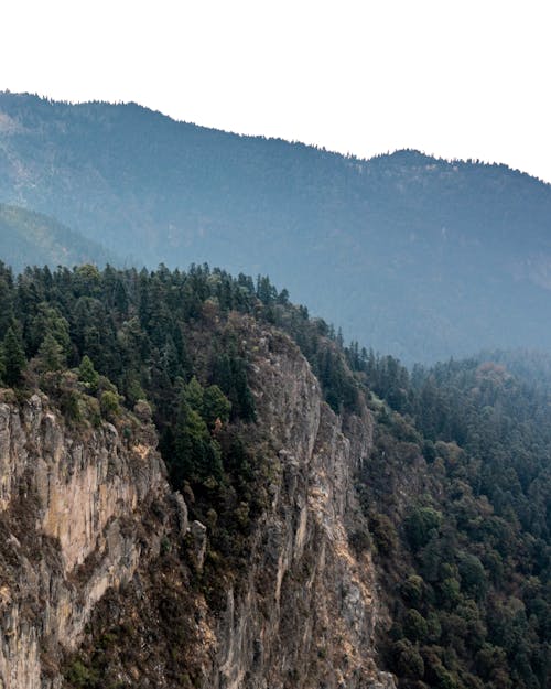 Foto profissional grátis de cadeia de montanhas, cênico, floresta