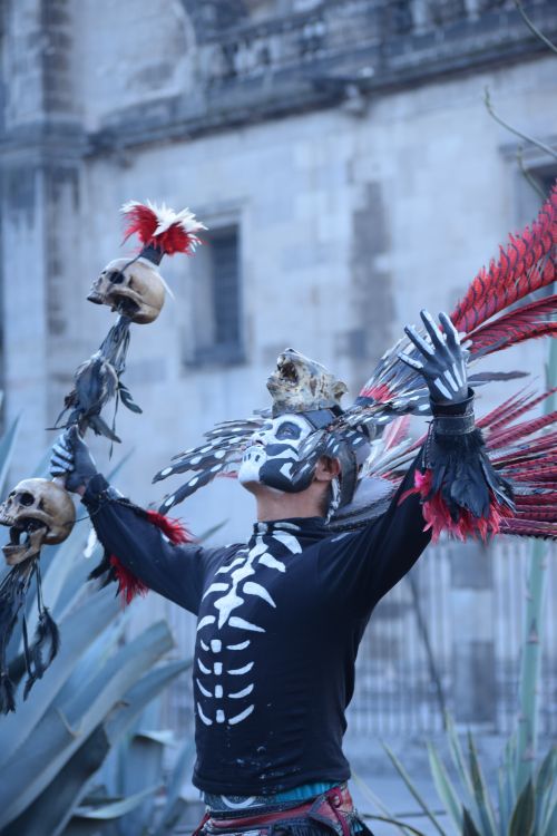Free A man in tribal costume with skulls and feathers raises arms symbolically outdoors. Stock Photo