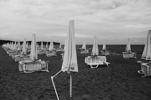 Free stock photo of sea, umbrellas