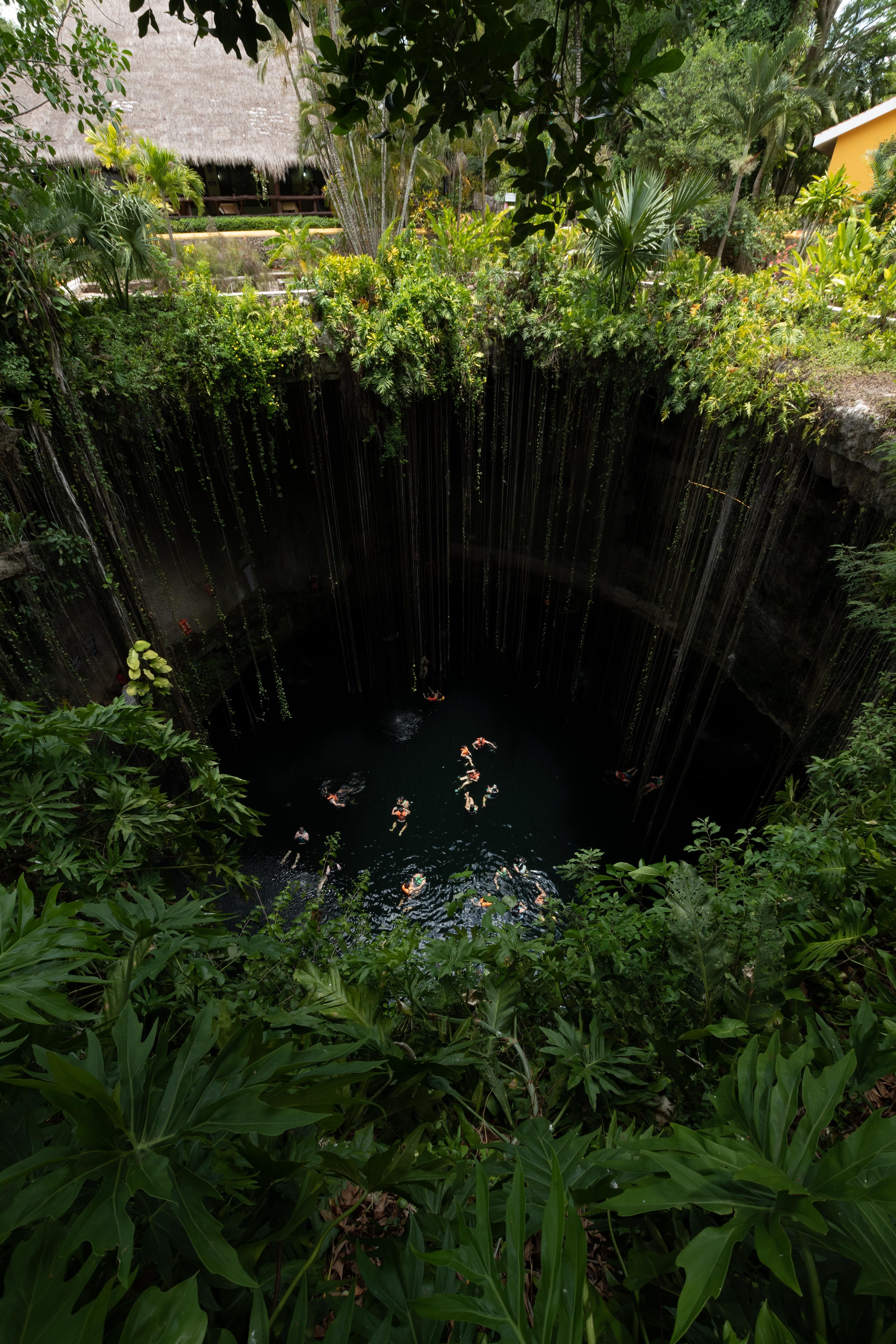 Overhead view of Cenote Ik Kil and its hanging roots near Chichén Itzá