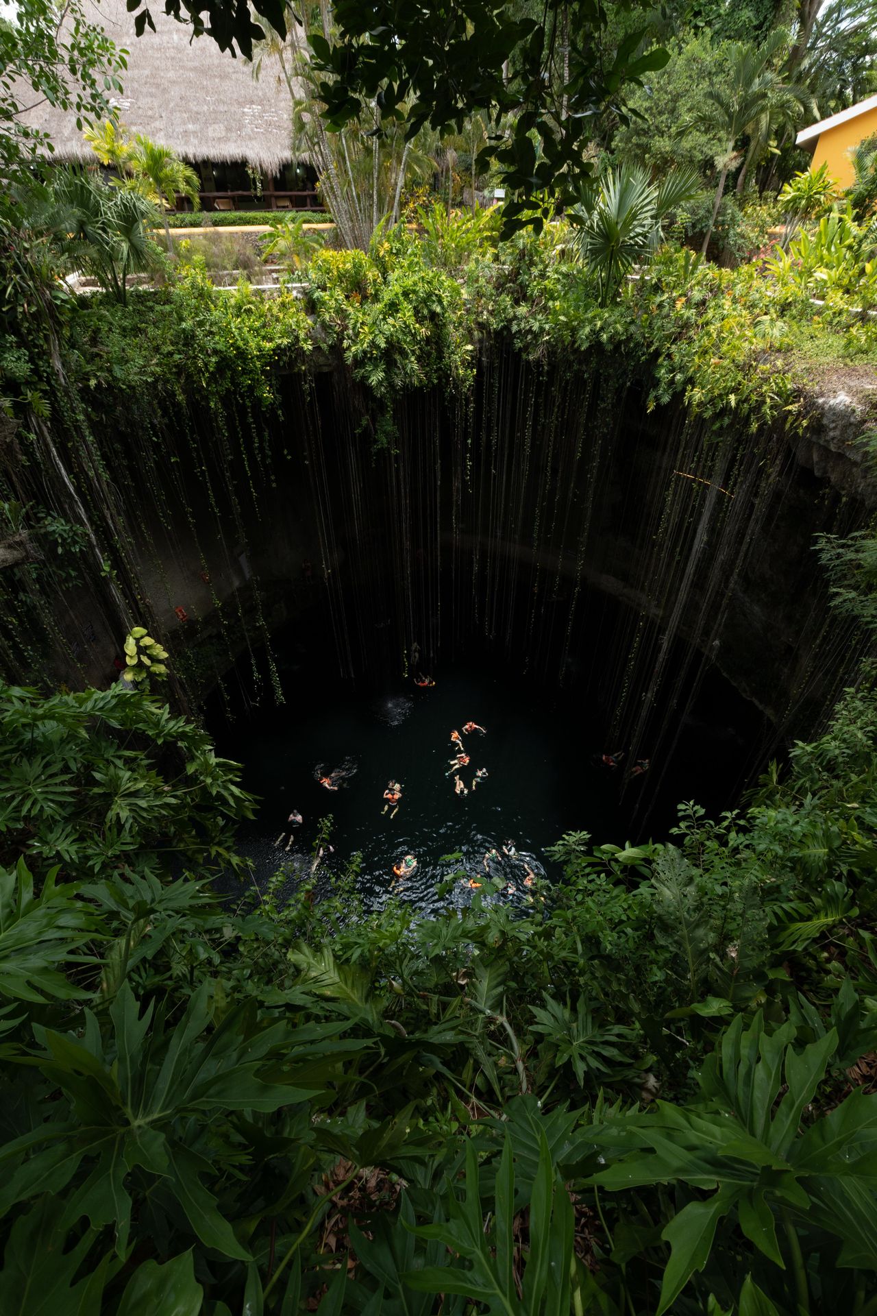 Cenote Ik Kil — eaux turquoise et lianes du Yucatán