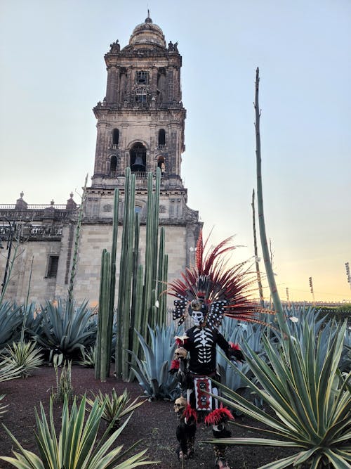 A Person in a Skeleton Costume Standing in a Cactus Garden