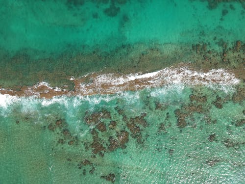Birds Eye View of Water on Shore