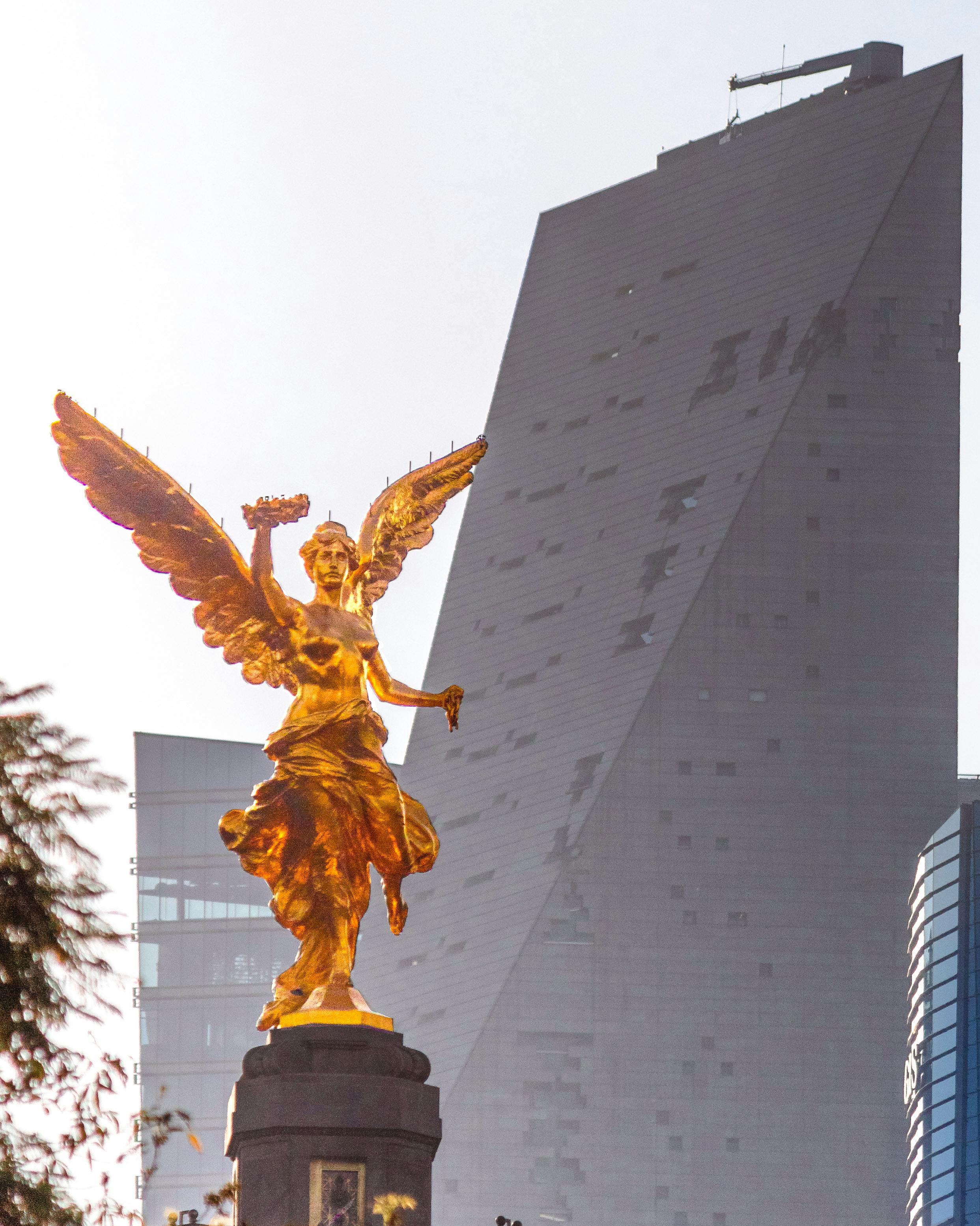 Photo by Diego Tecuapetla