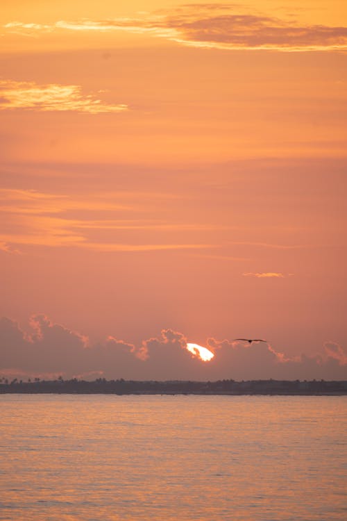 Gratis Immagine gratuita di cielo arancione, mare, oceano Foto a disposizione