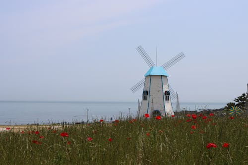 Бесплатное стоковое фото с берег моря, ветер, ветряная мельница