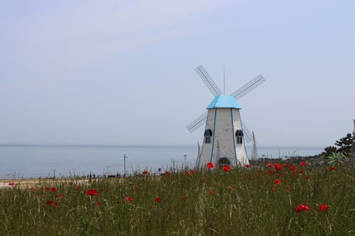 Photos gratuites de agriculture, bord de mer, campagne