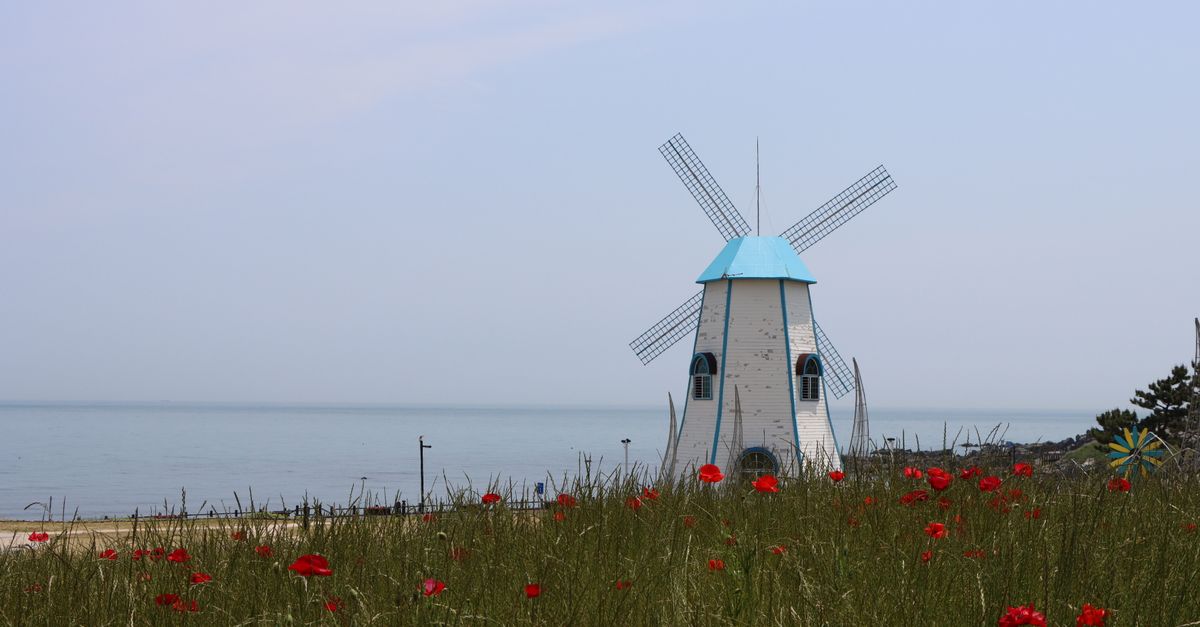 Jeju : Guide île Corée du Sud complet 2026