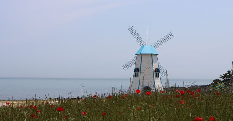 Jeju : Guide île Corée du Sud complet 2026