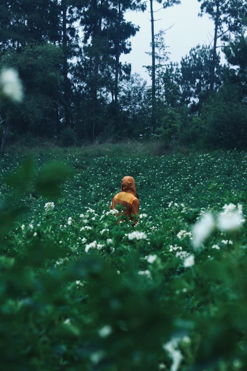 Free Back View of a Person in an Orange Jacket Standing in a Field Stock Photo