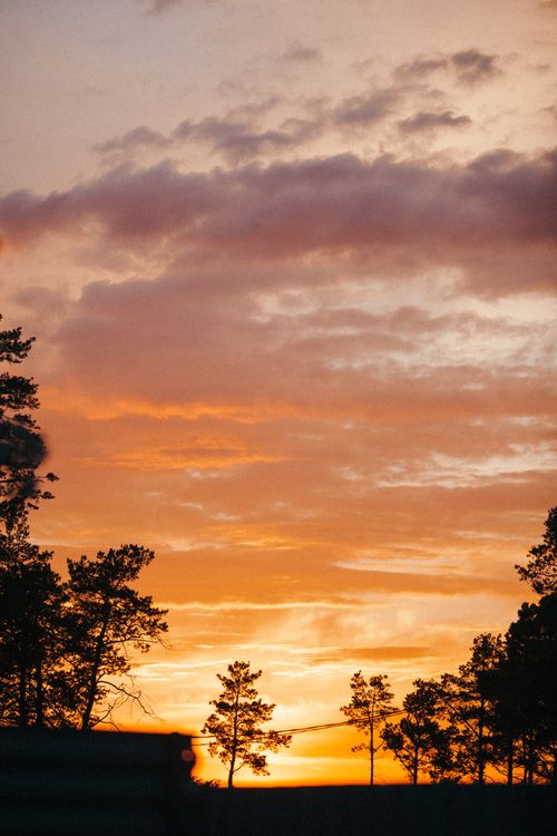 Free A captivating sunset casting silhouettes over pine trees, creating a dramatic sky. Stock Photo