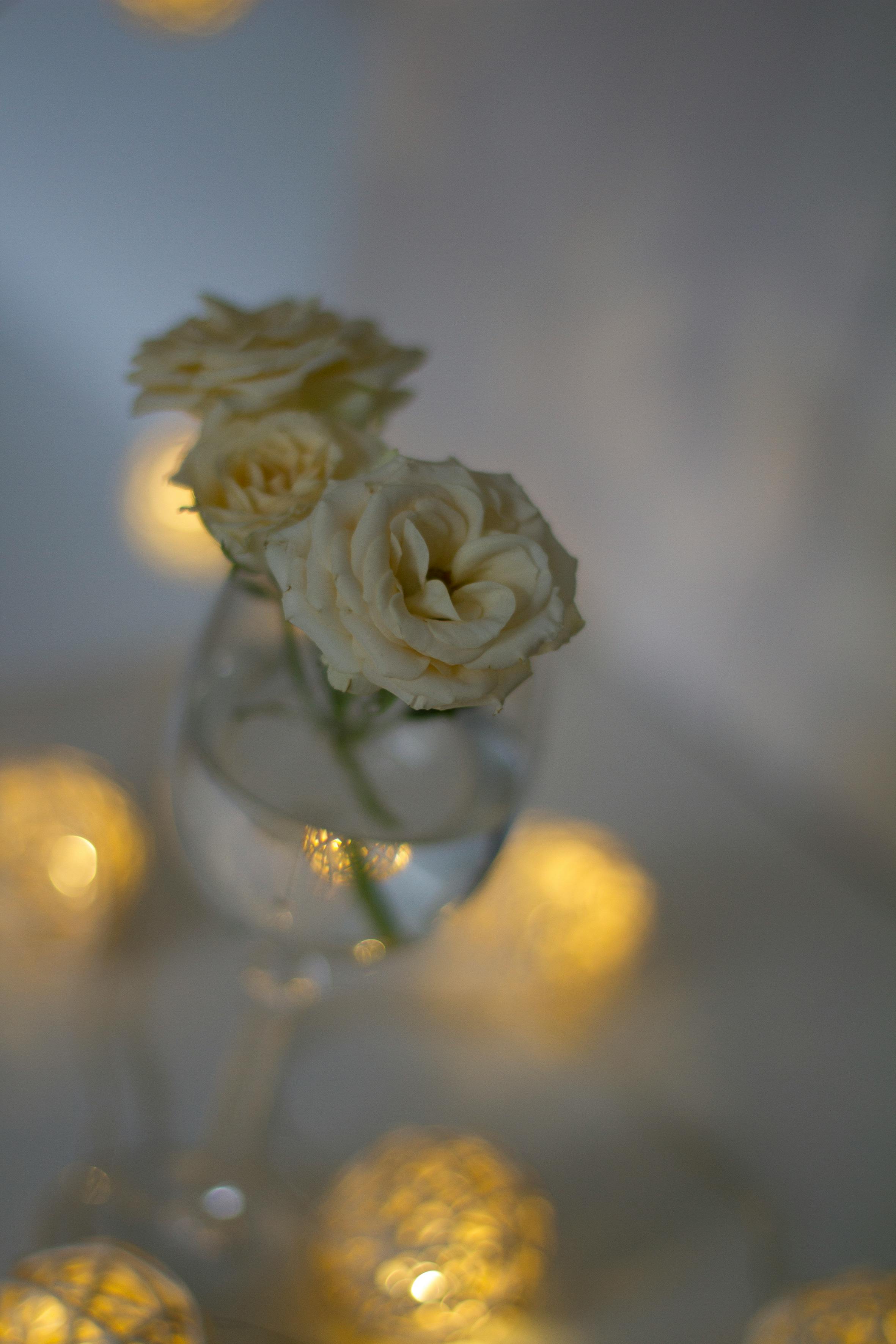 Close Up Photo of White Flowers in Wine Glass · Free Stock Photo