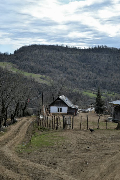 Foto profissional grátis de aldeia, área rural, casa de madeira